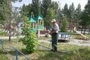 Полив зеленых насаждений Полив зеленых насаждений