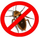 ��������� �� ���������