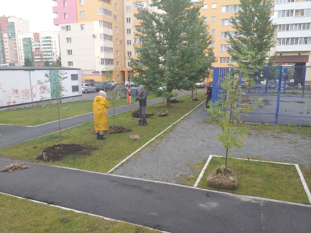20190905_162835.jpg