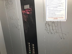 ����� ������������ ���������
