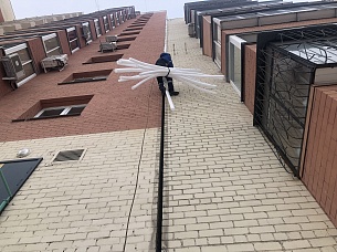 ������������ ������������ ����
